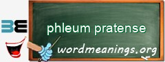 WordMeaning blackboard for phleum pratense